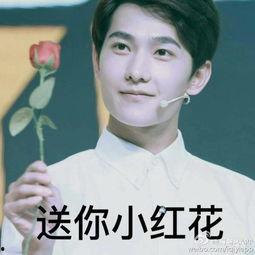 杨洋睡觉表情包,萌态尽显，网友直呼“睡颜杀”